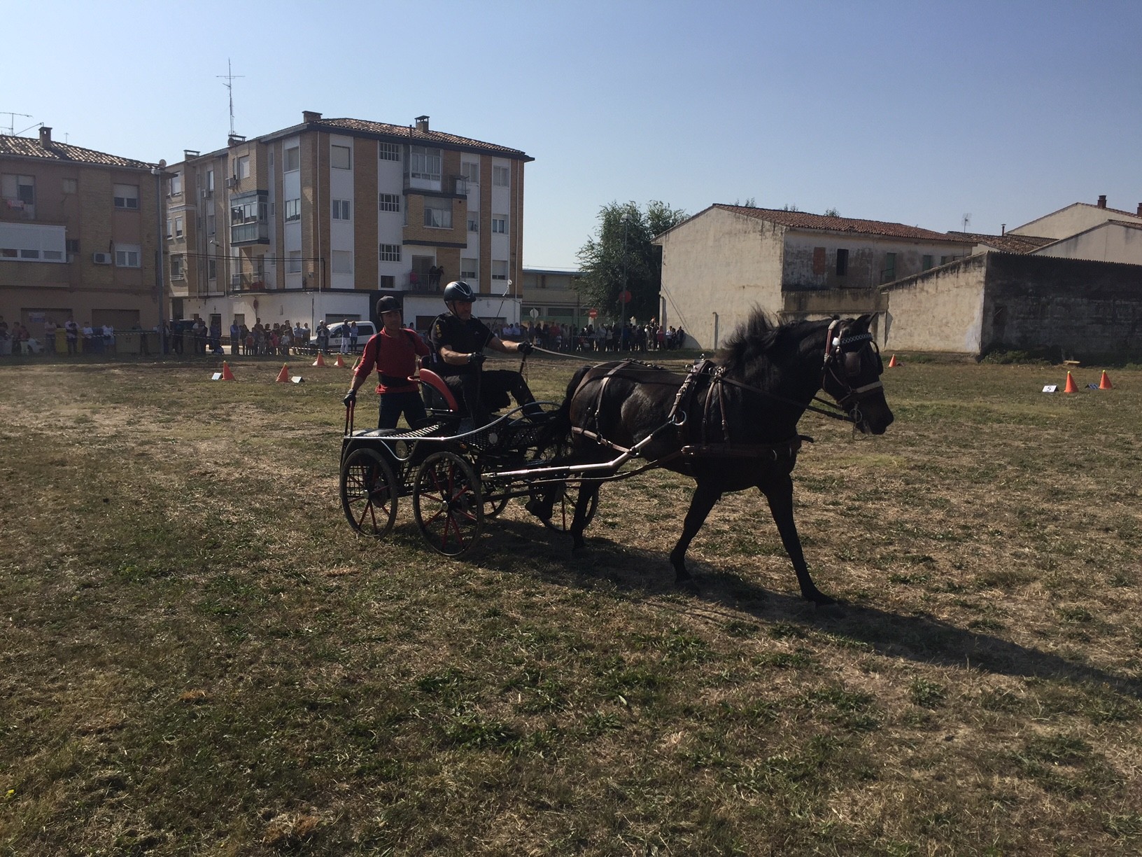 Campeonato Navarro de Enganches en Marcilla